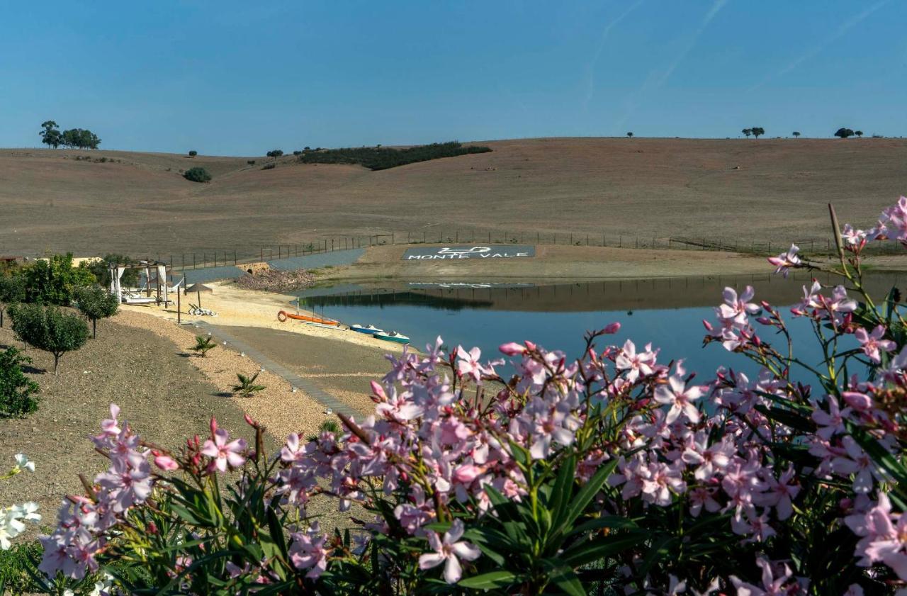 Monte Vale - Organic Farm Villa Entradas Екстериор снимка