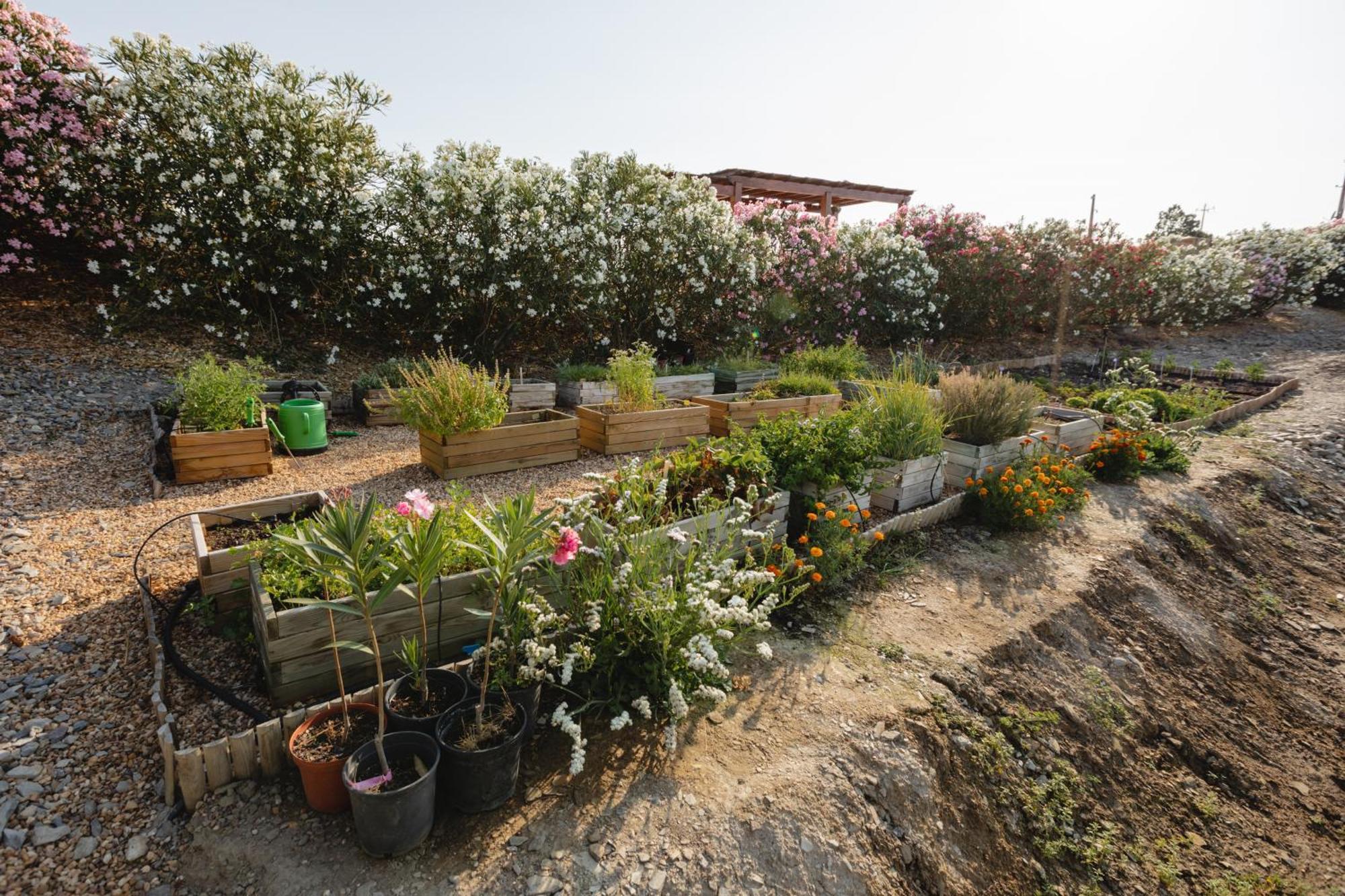 Monte Vale - Organic Farm Villa Entradas Екстериор снимка